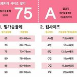 [2단원] 중2분들 내가 역사문제 내줄게