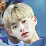 [드루와] +)프듀 진짜 괜찮은 애들 (사진有)