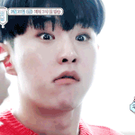 [세븐틴] 세븐틴이 너무 좋아서 눈물나