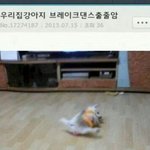 [댓글부탁해] <b>시험</b>치는<b>날</b> 체육복