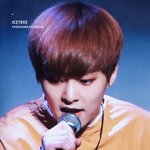 [시우민] 얼음나무님이 시우민 <b>부잣집</b> 고양이라고ㅋㅋ