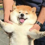 [댓글부탁해] <b>연상</b> 좋아하는 남자들