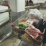 [드루와] 와 <b>초졸</b> 과사 보는데