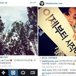 [EXO] 팬들이 만들어준 슬로건으로 태연 러브<b>미션</b>한 백현
