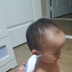 [고양이] 474일째 <b>육아</b>육묘