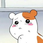 [댓글부탁해] 애들아 내 키 <b>가망</b>없냐