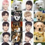 끄듀 <b>연습생들</b> 강아지화 ㅅㅂㅋㅋㅋㅋㅋㅋㅋㅋㅋㅋㅋㅋ