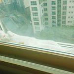 [댓글부탁해] 오늘 안<b>예은</b> 콘서트 가는사람 없냐