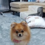 우리금자는사랑입니다!