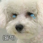 [댓글부탁해] 4살연하 좋아하는거 미친짓이겠지