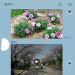 ㅋㅋ우리 할머니가 카톡 보내셨는데ㅜㅜ