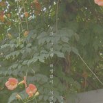 [댓글부탁해] 아이엠<b>쓰리</b> 어떰?