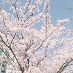 [댓글부탁해] 나 <b>사진</b>잘<b>찍</b>눈거임?