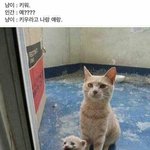 [댓글부탁해] 눈 <b>충혈</b>되본 애들와봐.../나건강공부때문이야?
