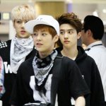 [EXO] 애깅이들