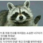[댓글부탁해] 최애 유튜버누구야!