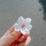 +++)얘들아 <b>생일</b><b>축하</b>한다고 한번만 <b>말</b>해주라