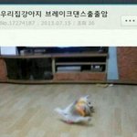 [댓글부탁해] 중학생인데 <b>평일</b>에 학교안가는법 잇수?