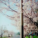 [질문해줄래] <b>자퇴</b>한 쓰닌데 질문 많은것 같아서 글 다시써