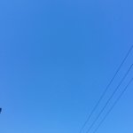 얘들아 나 오늘 <b>조퇴</b>했어