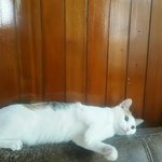 [쁘니단비] 모든 날이 좋았다~ㅋ