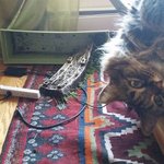 비명과 <b>탄식</b>이 절로 나오는 순간들