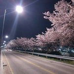 5월달에 체험<b>학습</b> 가는데