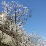 <b>소중</b>한 친구를 잃었어