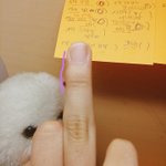 지금 너네 손가락 봐봐