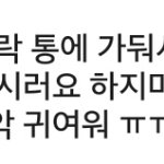 [세븐틴] 이거 음성지원 되지 않아?ㅠㅠㅠ