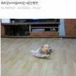 [댓글부탁해] 나만 이번 아이유노래 잼잼이 제일 좋냐