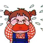이 쨜 너무 귀엽지 않아?