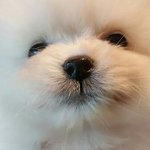 남주혁이랑 이성경 있잖아