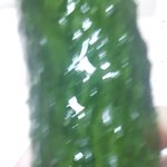 [EXO] 빡치는 마음을 <b>오이</b>로 달래는 중