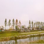 근데 무<b>알콜</b> 맥주는 뭐하러 마시는가지