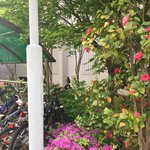 <b>아이유</b> <b>노래</b> 추천좀