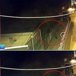 [고양이] 이번선거  고양이비선<b>실세</b>  주의보