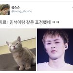 [시우민] 이세상 고양이는 다 시우밍을 닮았다고