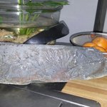 [댓글부탁해] 이런 <b>화석</b> 어떤가요