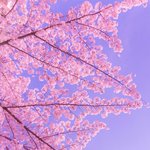 아 배에서 자꾸 <b>방구</b>껴..