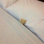 [공판] 영어 해석 해줄 분 찾아요...ㅜㅜ