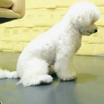 [EXO] 얘들아 지금 <b>굽</b>ㄴㅔ에서 치킨 시킬건데