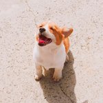 [모두드루와] 폰트 다운받는법 찾아냈어!!!!!!!!!