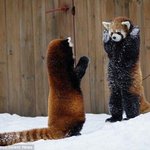 오늘도 <b>밤샘</b> 예약인 사람?ㅋㅋㅋㅋ