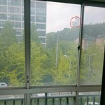 [EXO] 망원경 나1시카2050 <b>사셈</b>