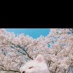 더데이즈배송어땡