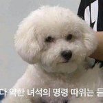 [댓글부탁해] 2학년애들이랑 시험 같이보는데