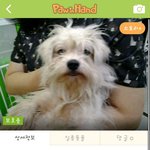 [성남시] 공고기간이 끝나 안락사 대기<b>명단</b>에 오른 아이들입니다.