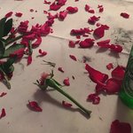 [댓글부탁해] <b>순천</b> 사는 사람 ㅠㅠ 급해