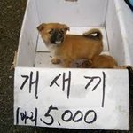 <b>영자</b>는 재인이의 따까리인가